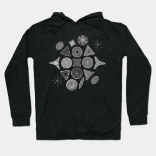 Monochromatic Diatoms Hoodie